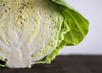 Unlocking the Secrets to a Vegan Diet for Weight Loss: Healthy Tips and Tricks