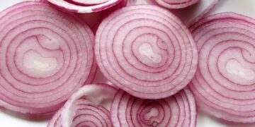 Unlocking Better Health: How the Vegan Diet for Diabetes Control Can Transform Your Life