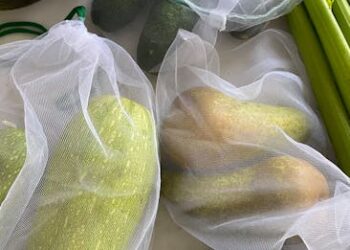 5 Easy Steps on How to Start a Vegan Lifestyle Step by Step