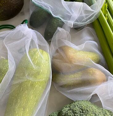 5 Easy Steps on How to Start a Vegan Lifestyle Step by Step