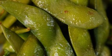 Top 5 Benefits of a Vegan Diet for Weight Loss and Healthy Living