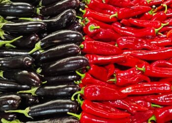 Top 10 High Protein Vegan Foods List for a Healthier You