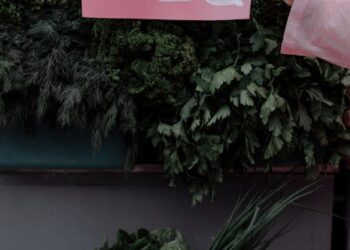 Discover the Top Benefits of Vegan Lifestyle for Health: 5 Reasons to Make the Switch