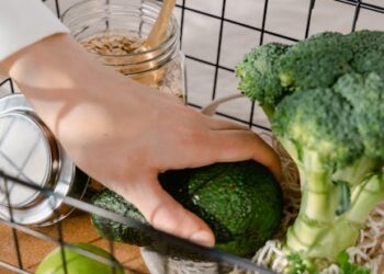 Top 10 Secrets to Thriving on a Vegan Lifestyle on a Budget